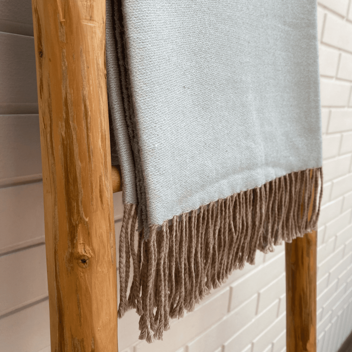 Manta Andy Celeste15