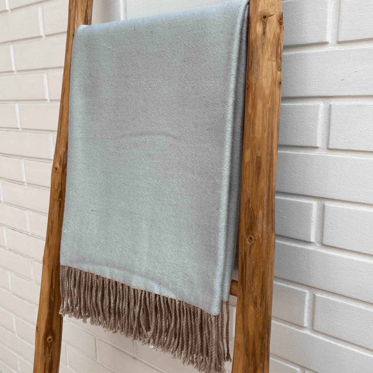 Manta Andy Celeste16