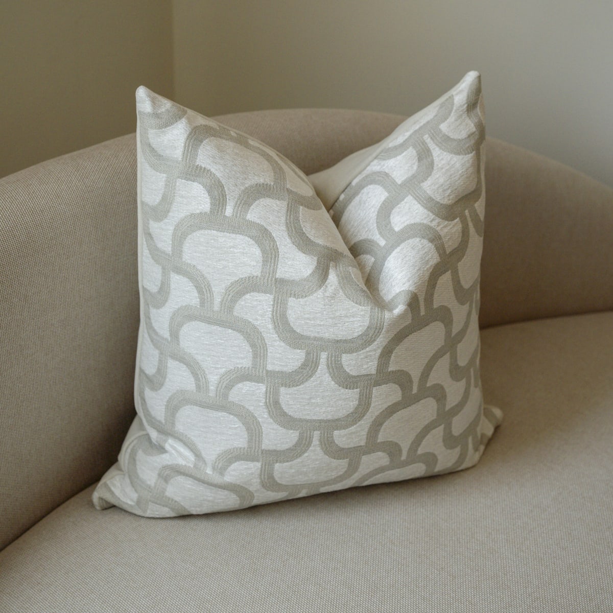 Funda de Cojín Alexa2