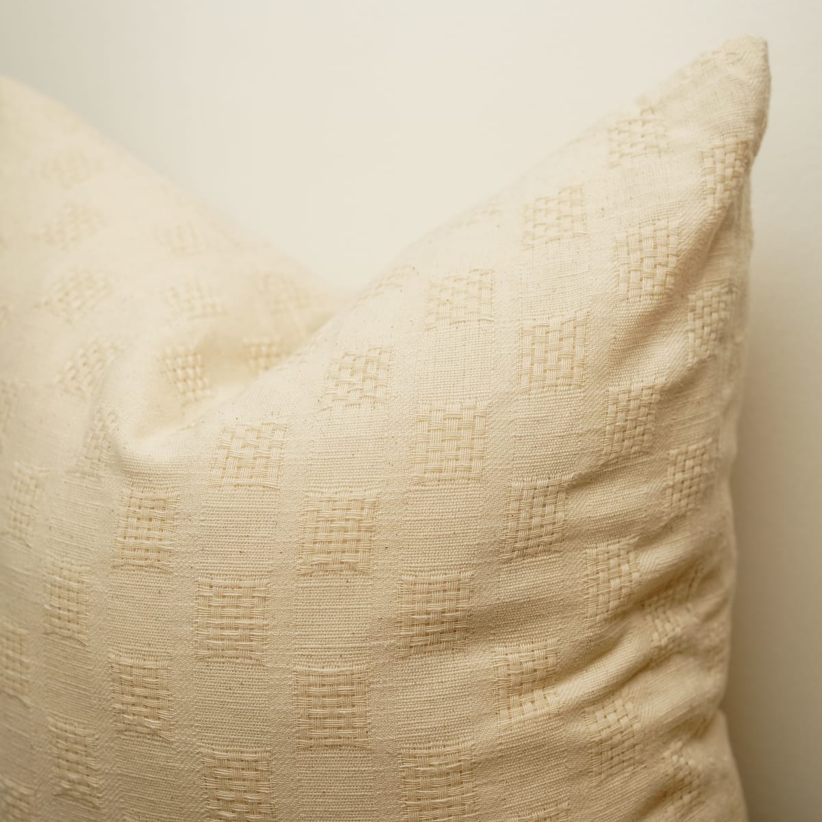 Funda de Cojín Inés5