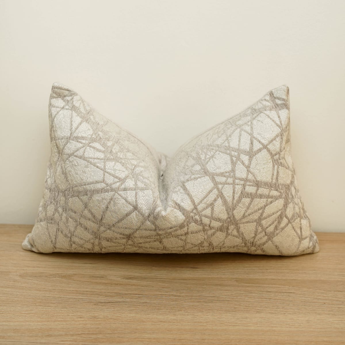 Funda de Cojín Silver Glow Rectangular2