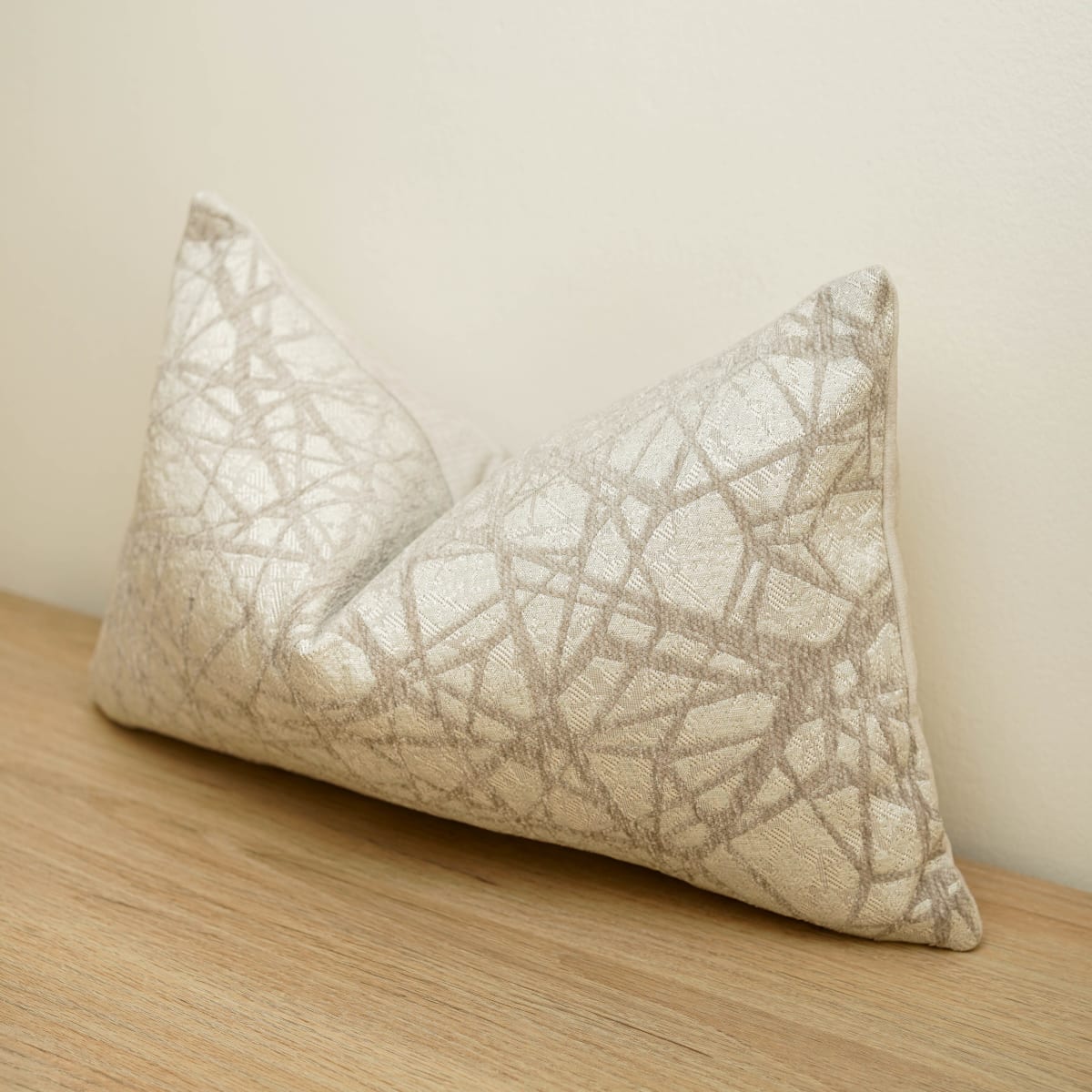 Funda de Cojín Silver Glow Rectangular4