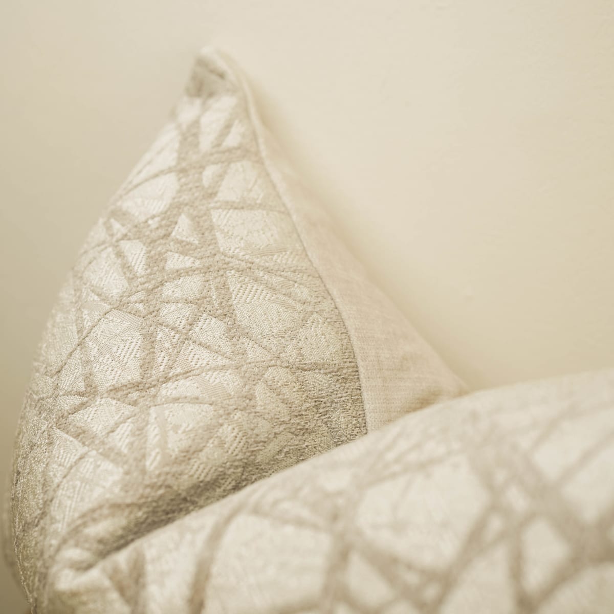 Funda de Cojín Silver Glow Rectangular7