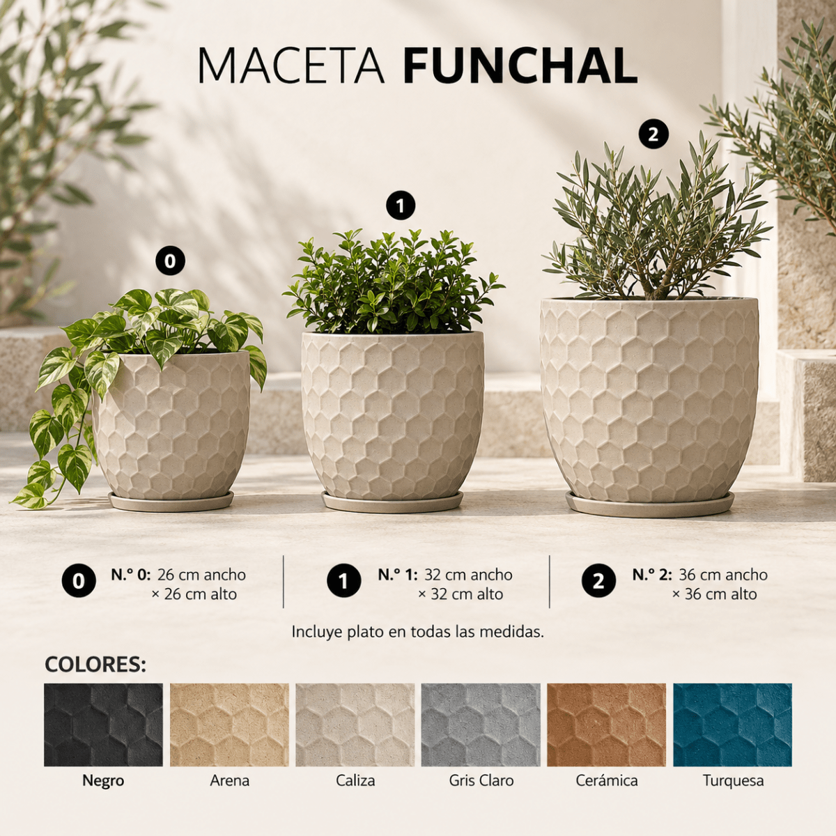 Maceta Funchal1