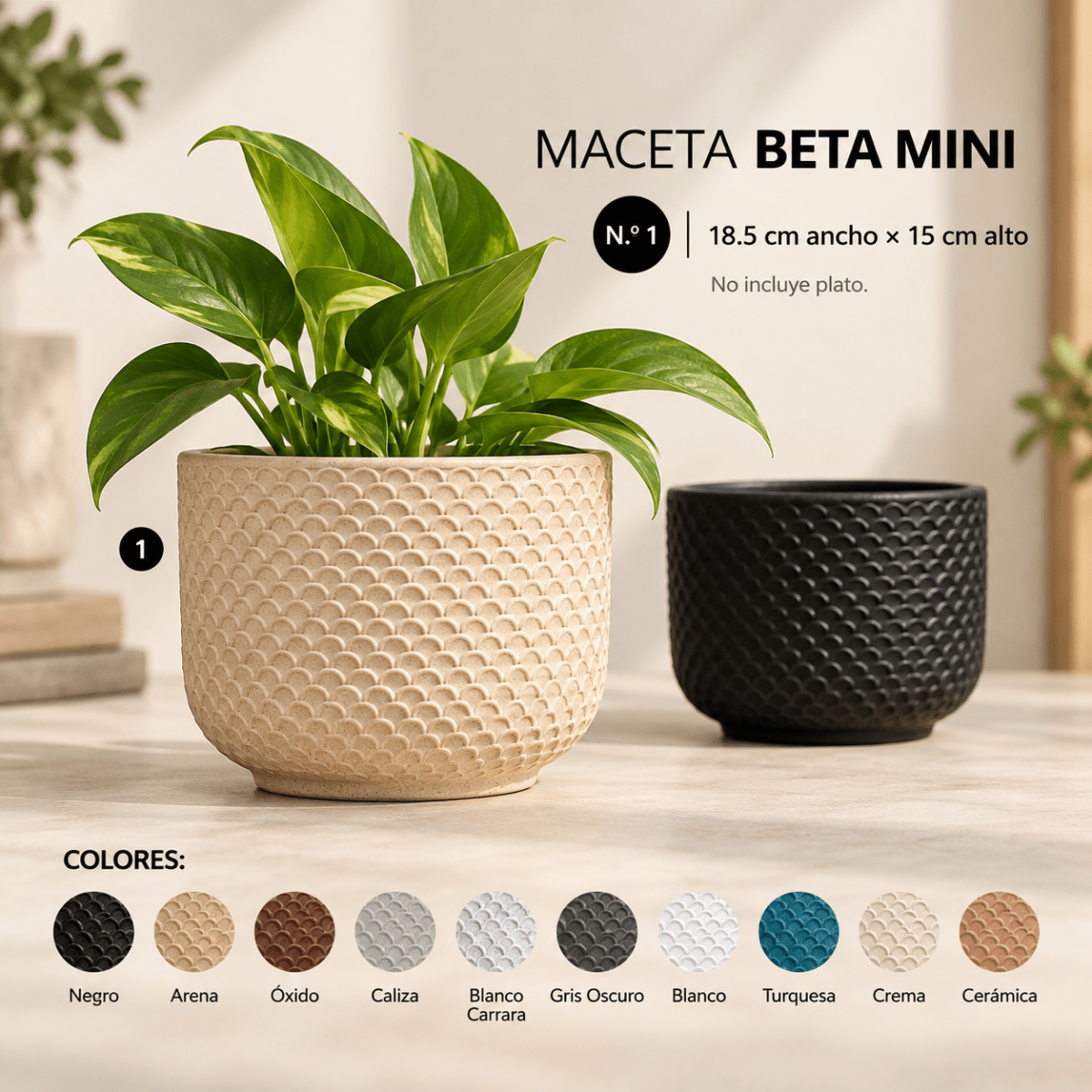 Maceta Beta1
