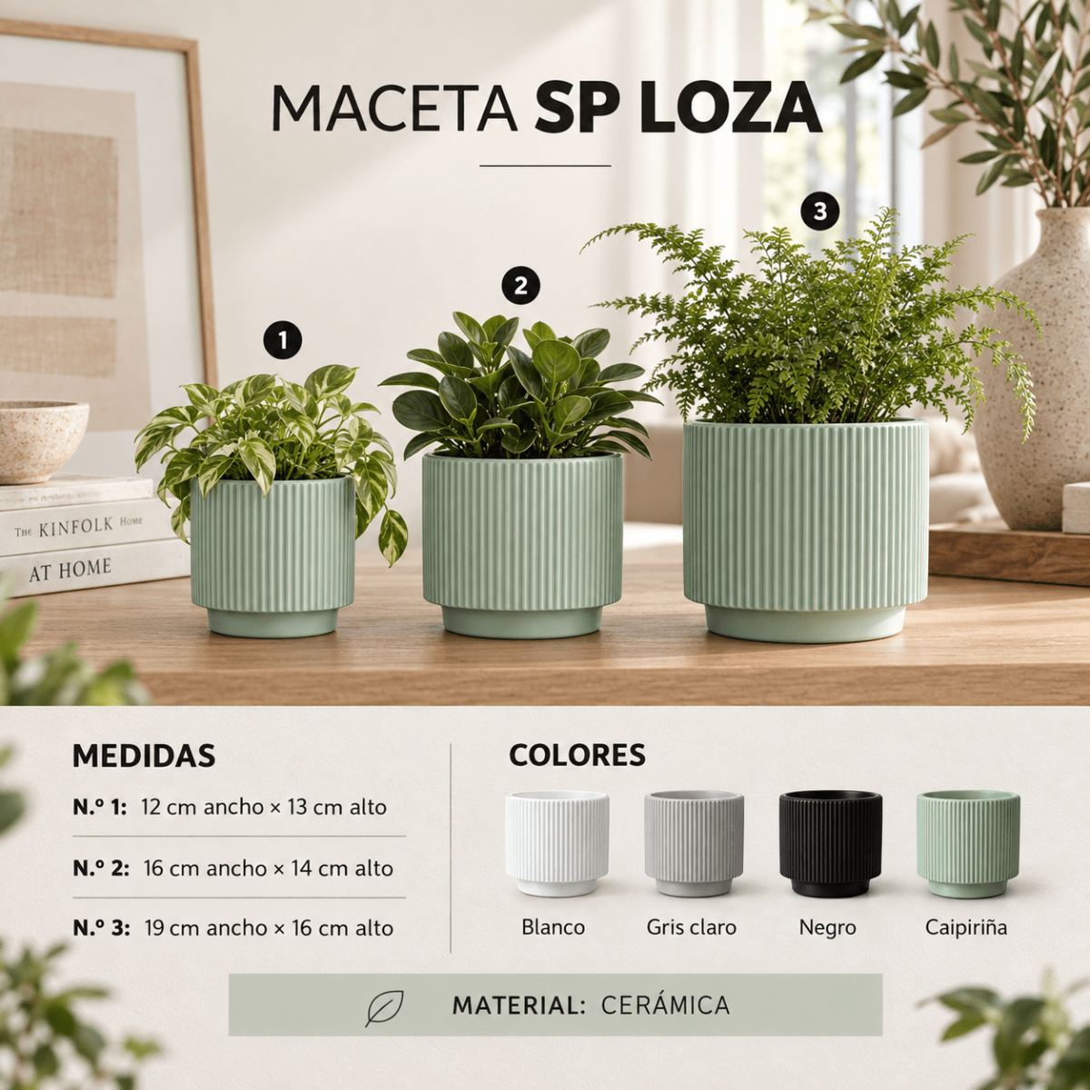 Maceta SP Loza1
