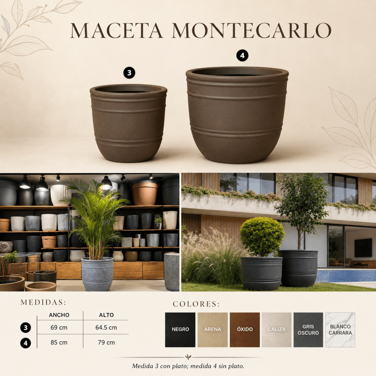 Maceta Montecarlo1