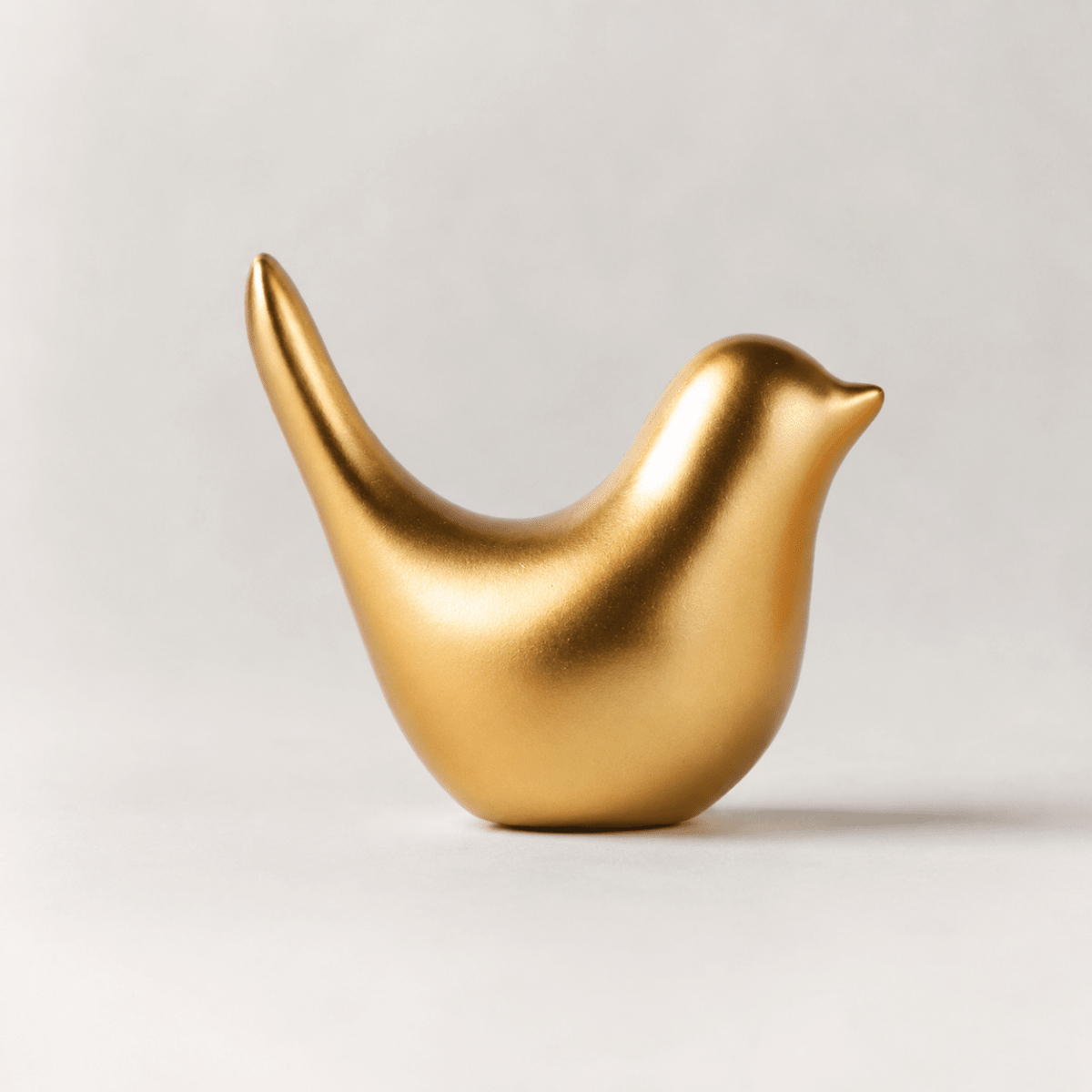 Pajarito Dorado5