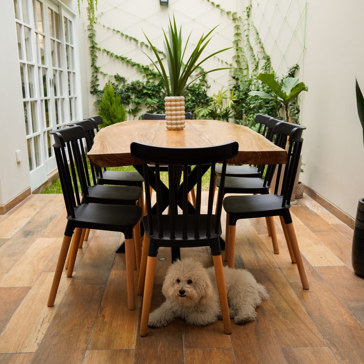 Mesa Comedor Olivo2