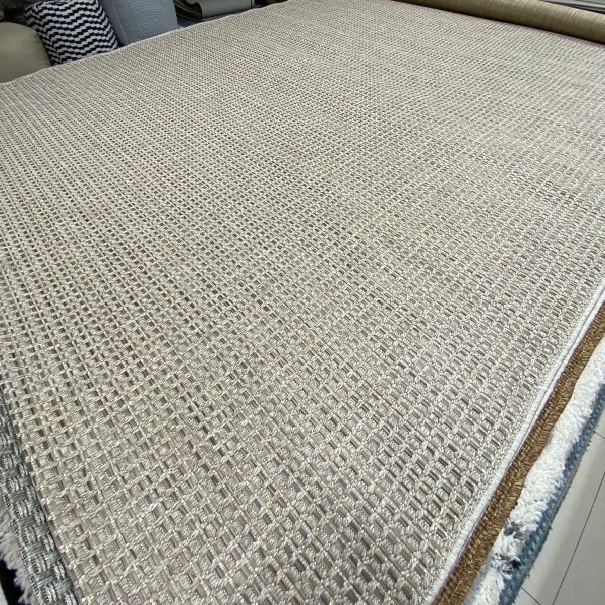 Alfombra Reed 2901