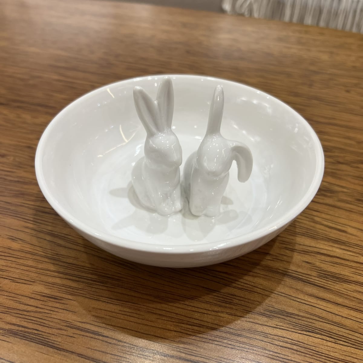 Plato Bunny3