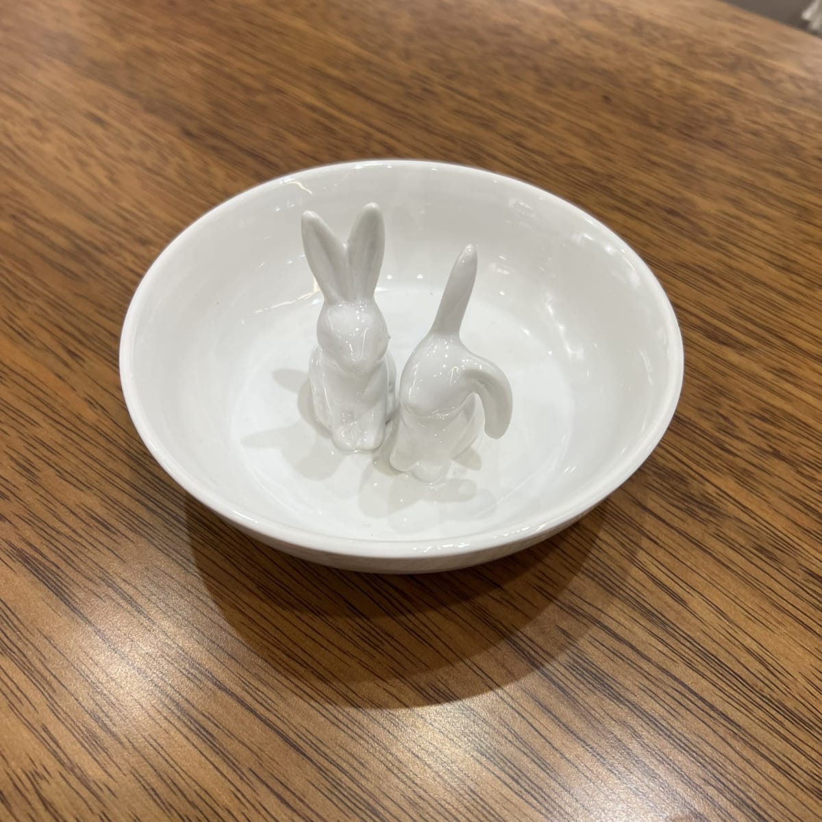 Plato Bunny2