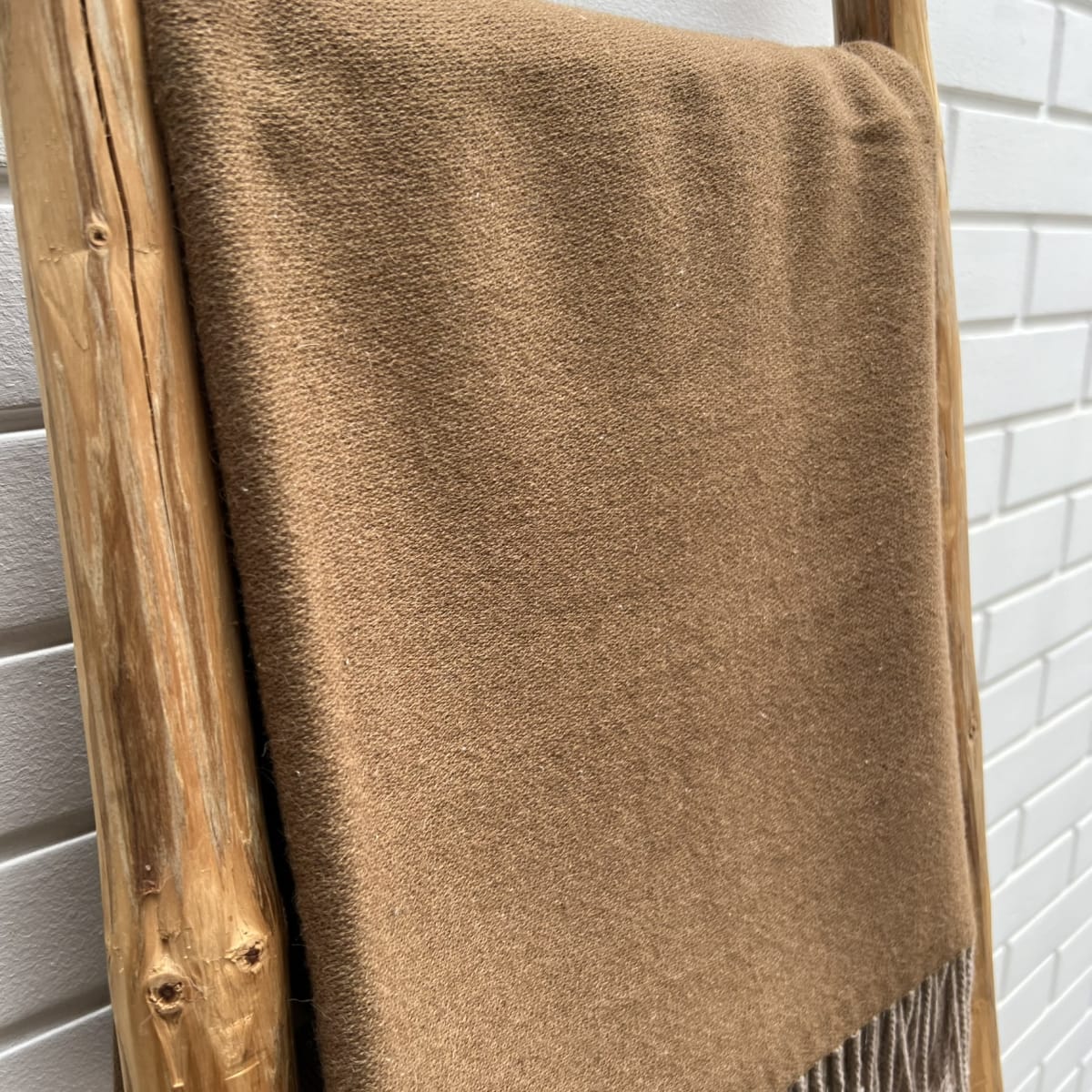 Manta Andy Terracota3