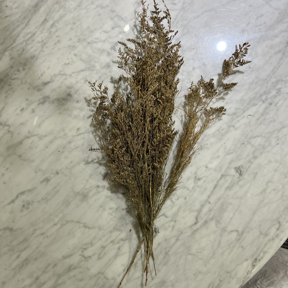 Flor de Caspia3