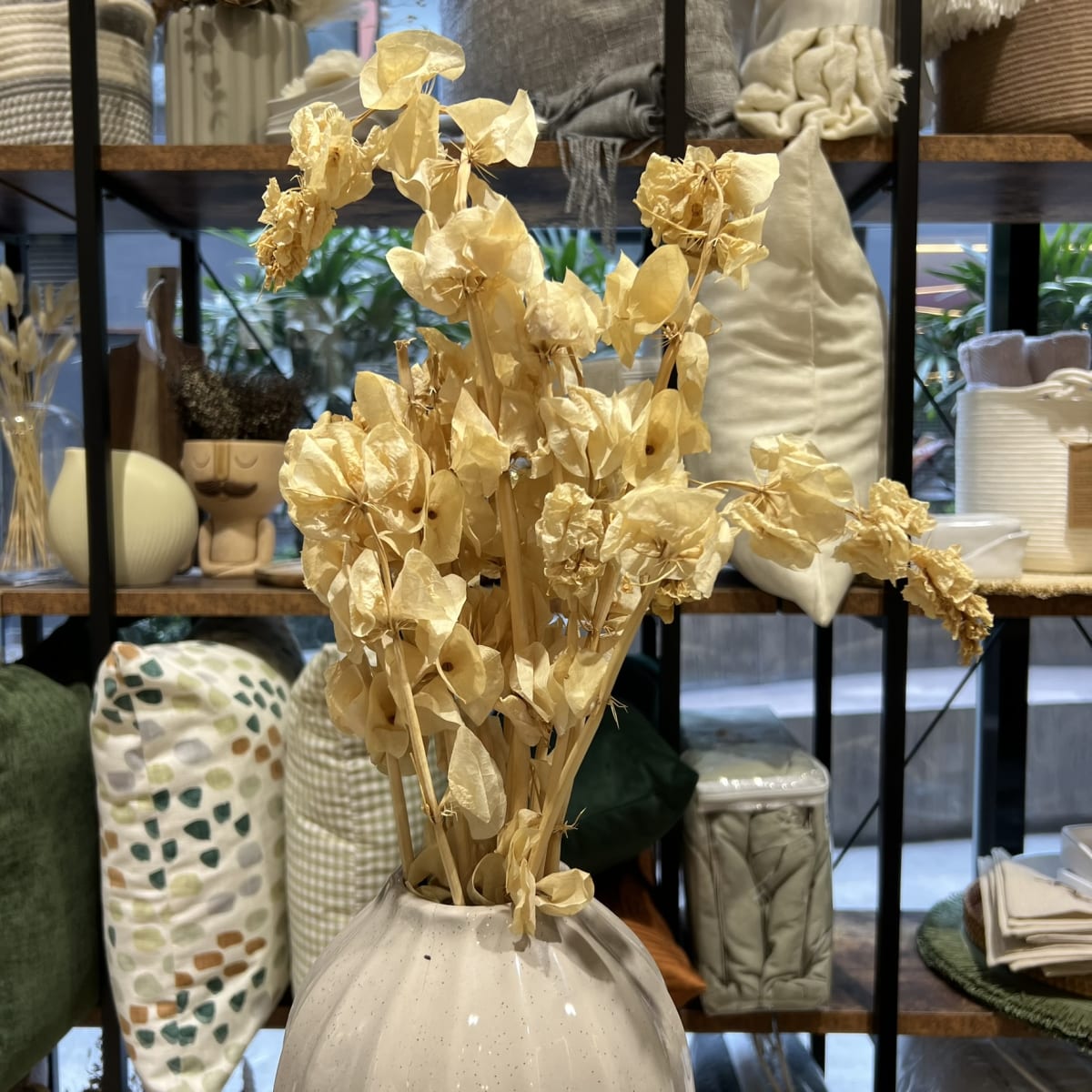 Flor de Campana2