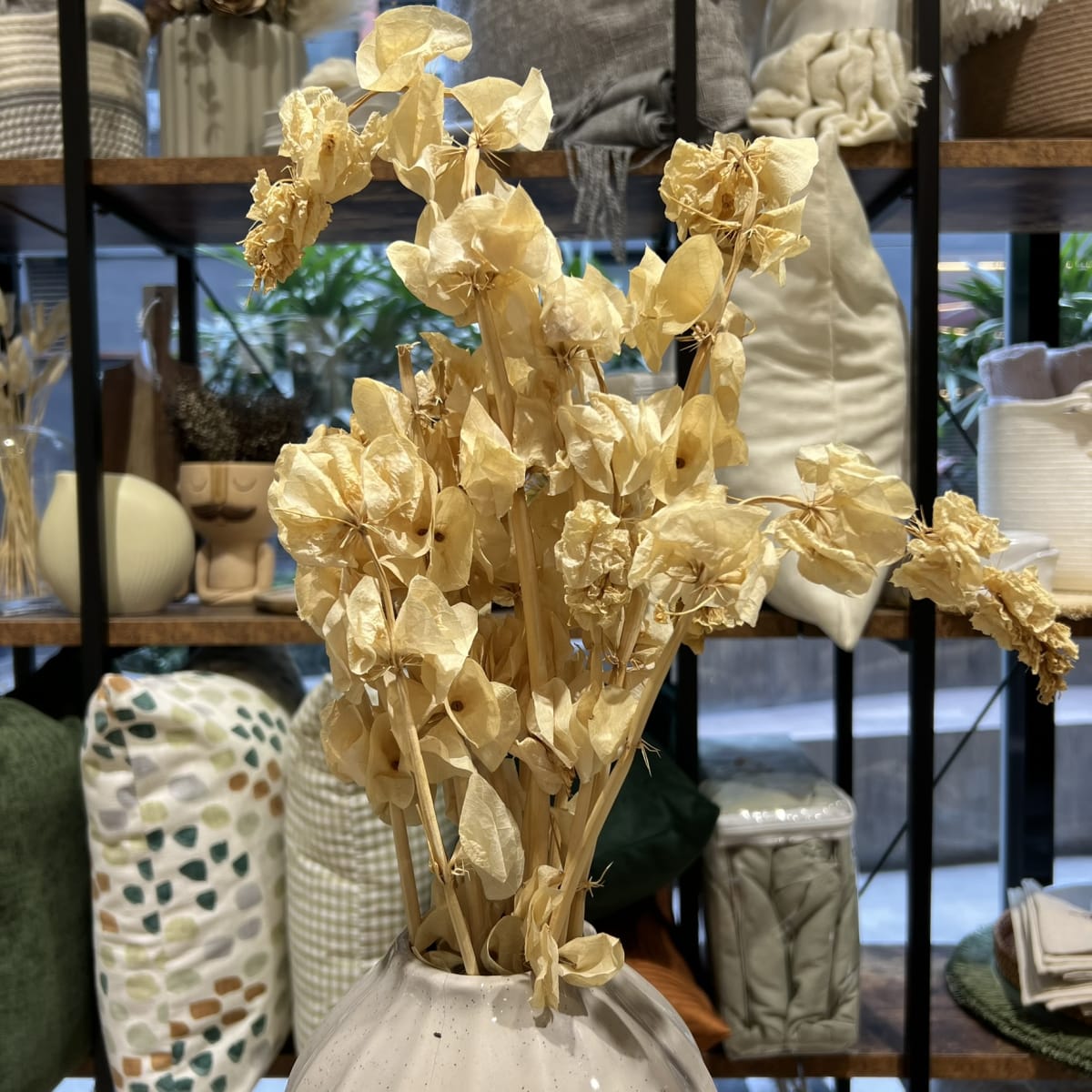 Flor de Campana3