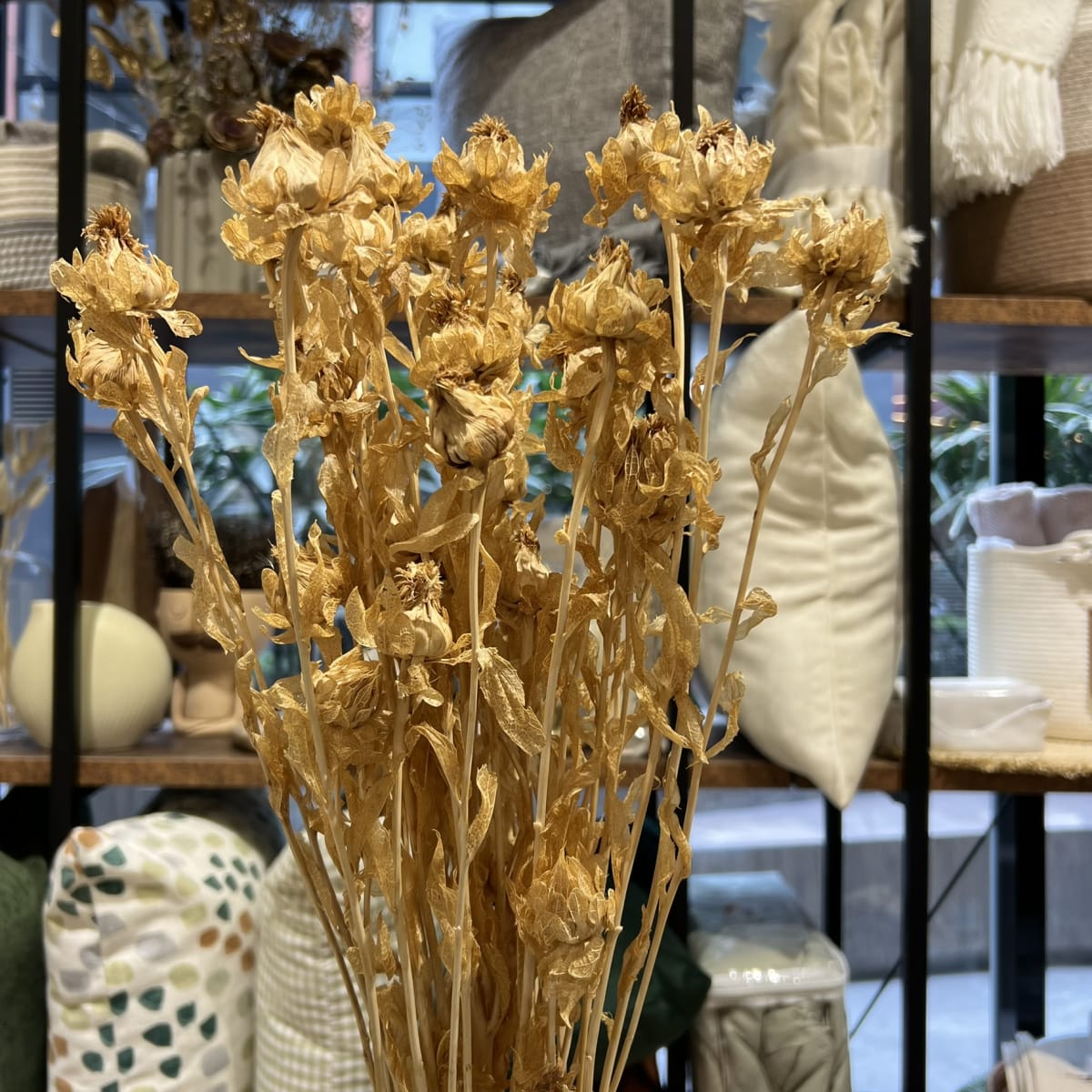 Flor Autumn3
