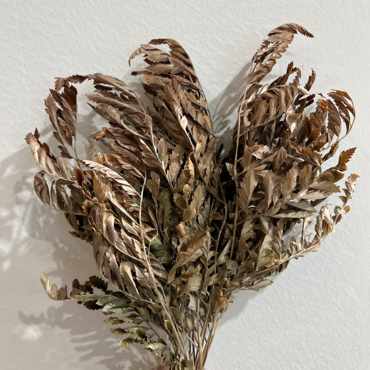 Flor de Arce3