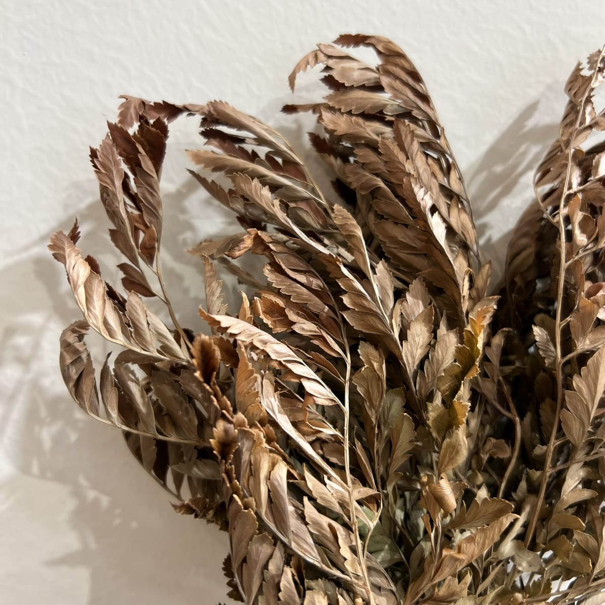 Flor de Arce4