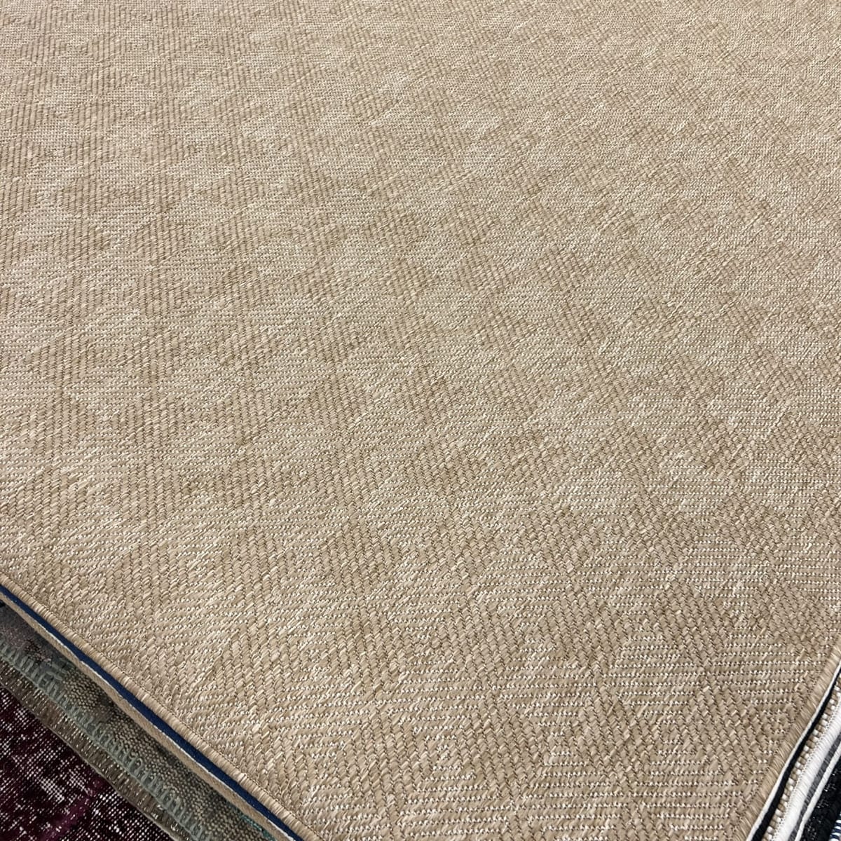Alfombra Lucian 200x2903