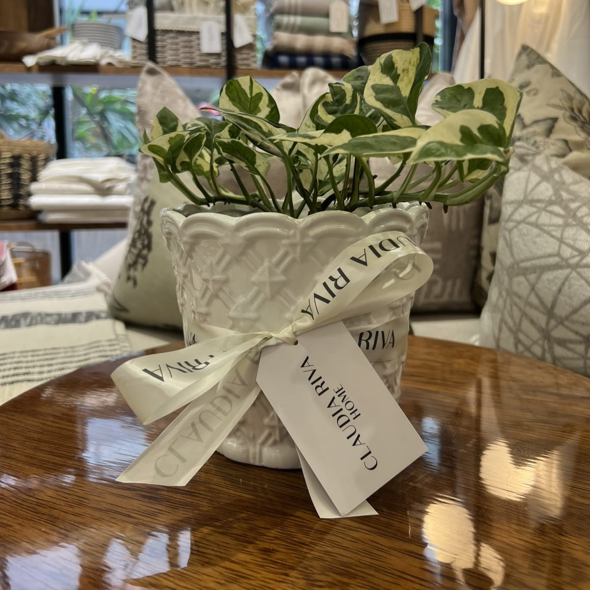 Maceta Cerámica Israel1