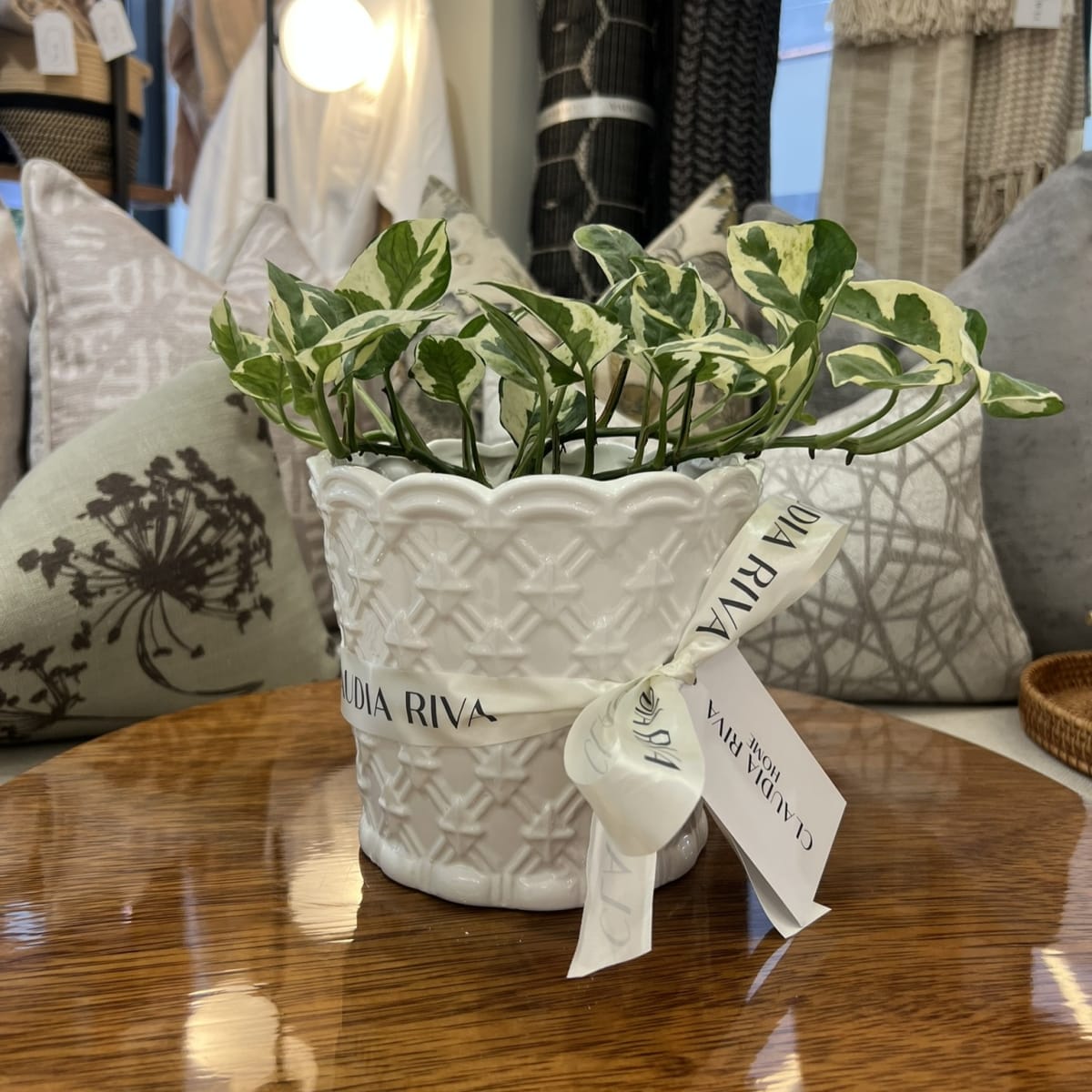 Maceta Cerámica Israel2