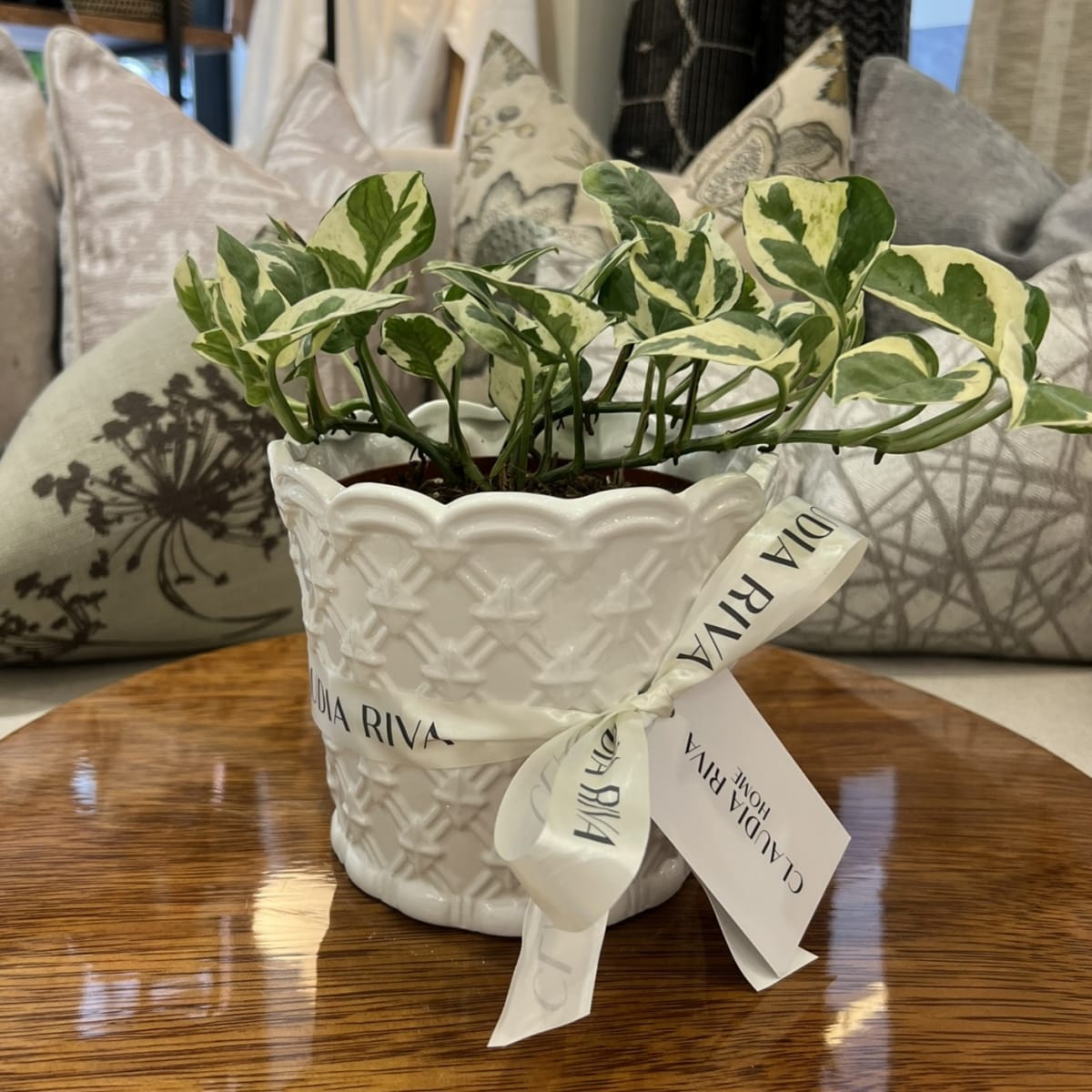 Maceta Cerámica Israel3