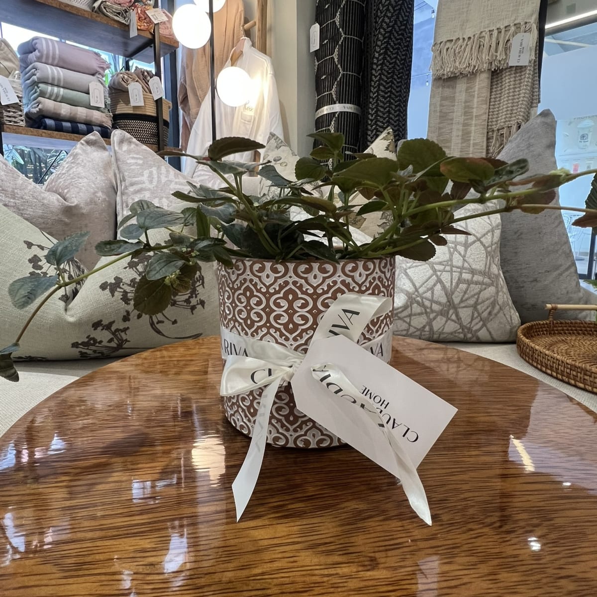 Maceta África Terracota1