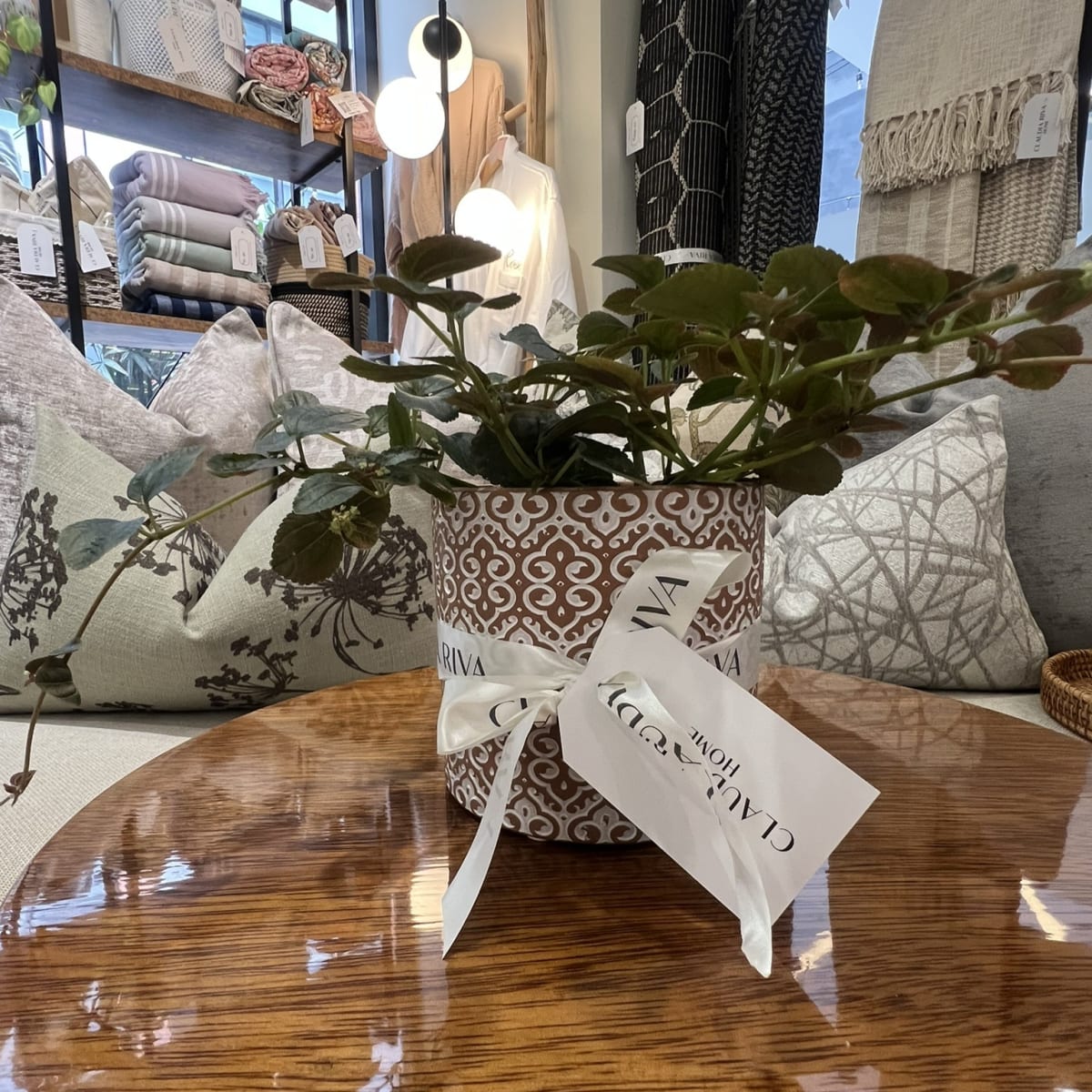 Maceta África Terracota2