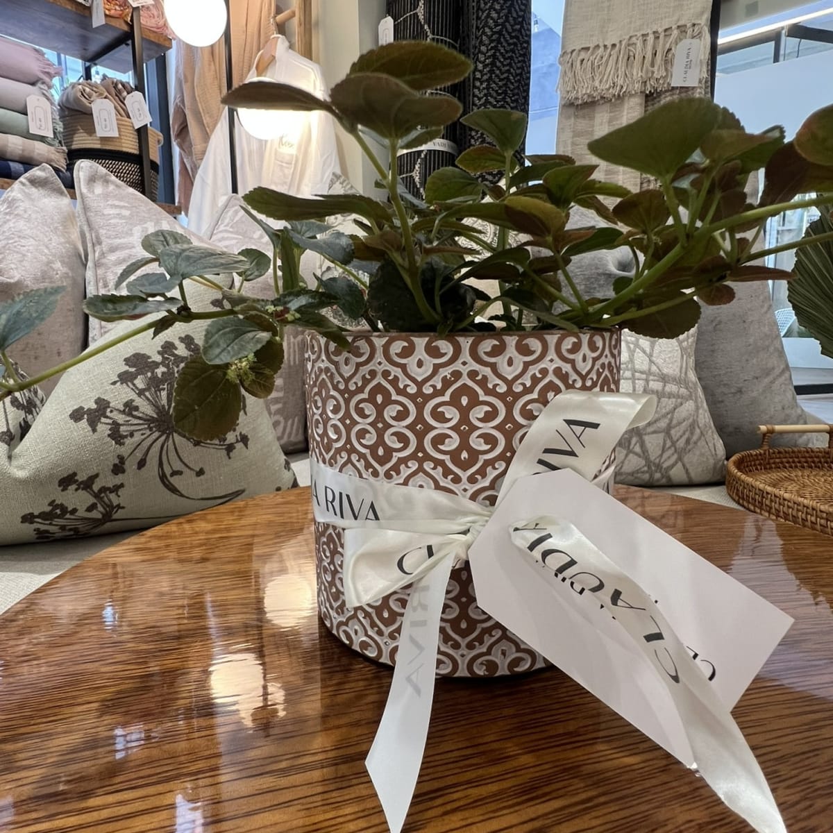 Maceta África Terracota3