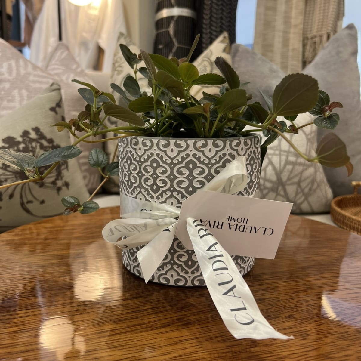 Maceta África Gris3