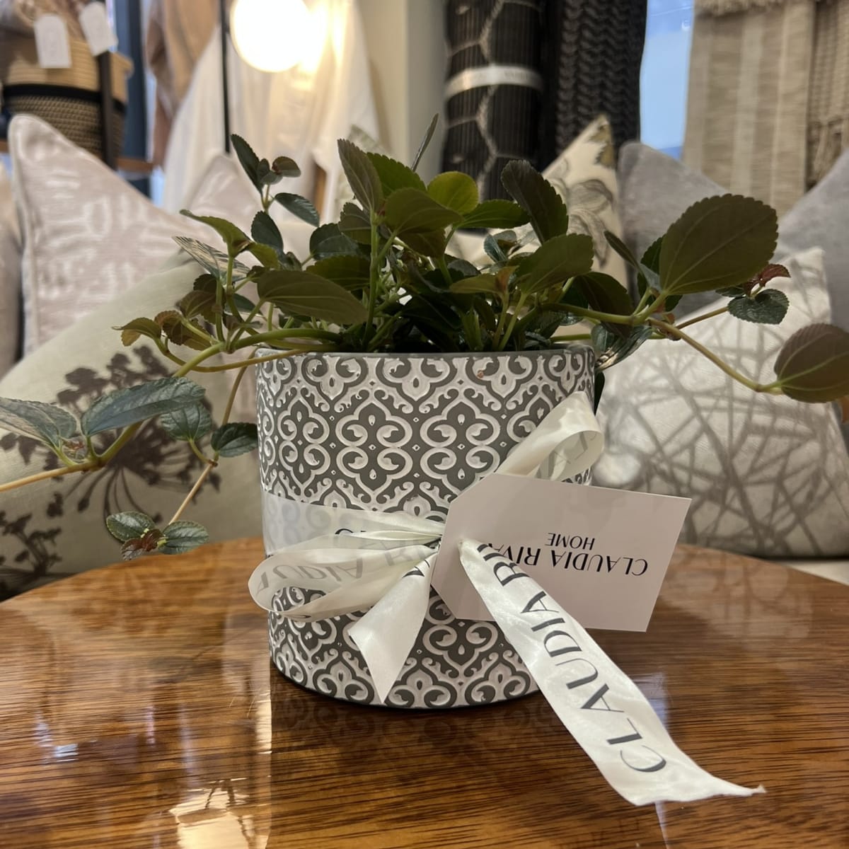 Maceta África Gris1