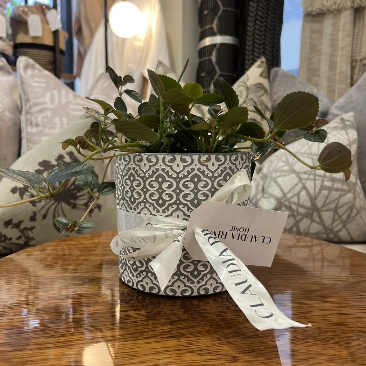 Maceta África Gris2