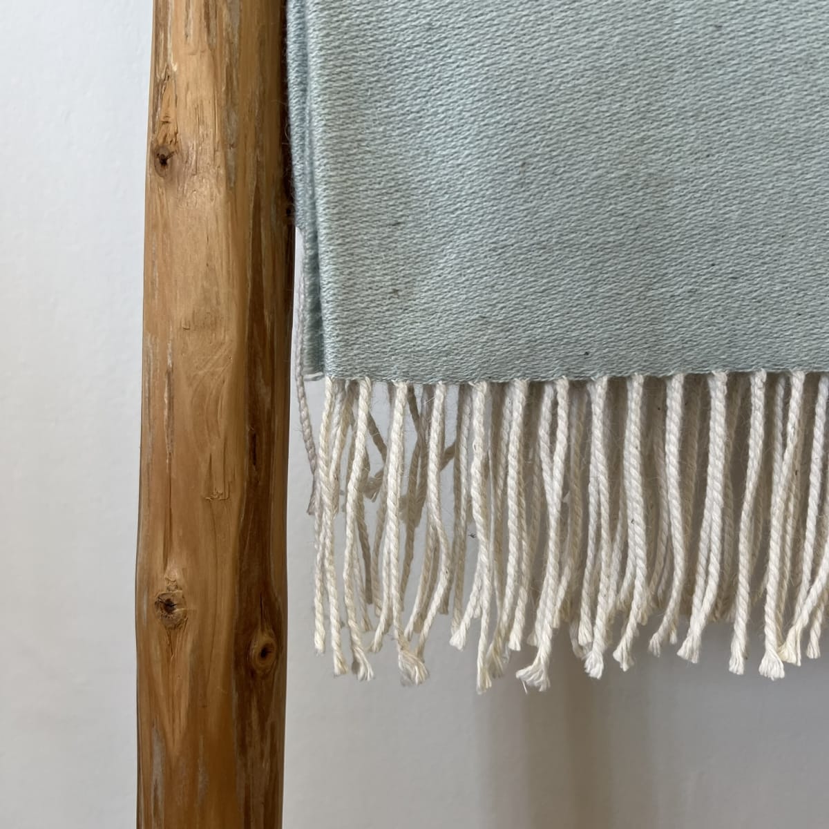 Manta Andy Celeste10