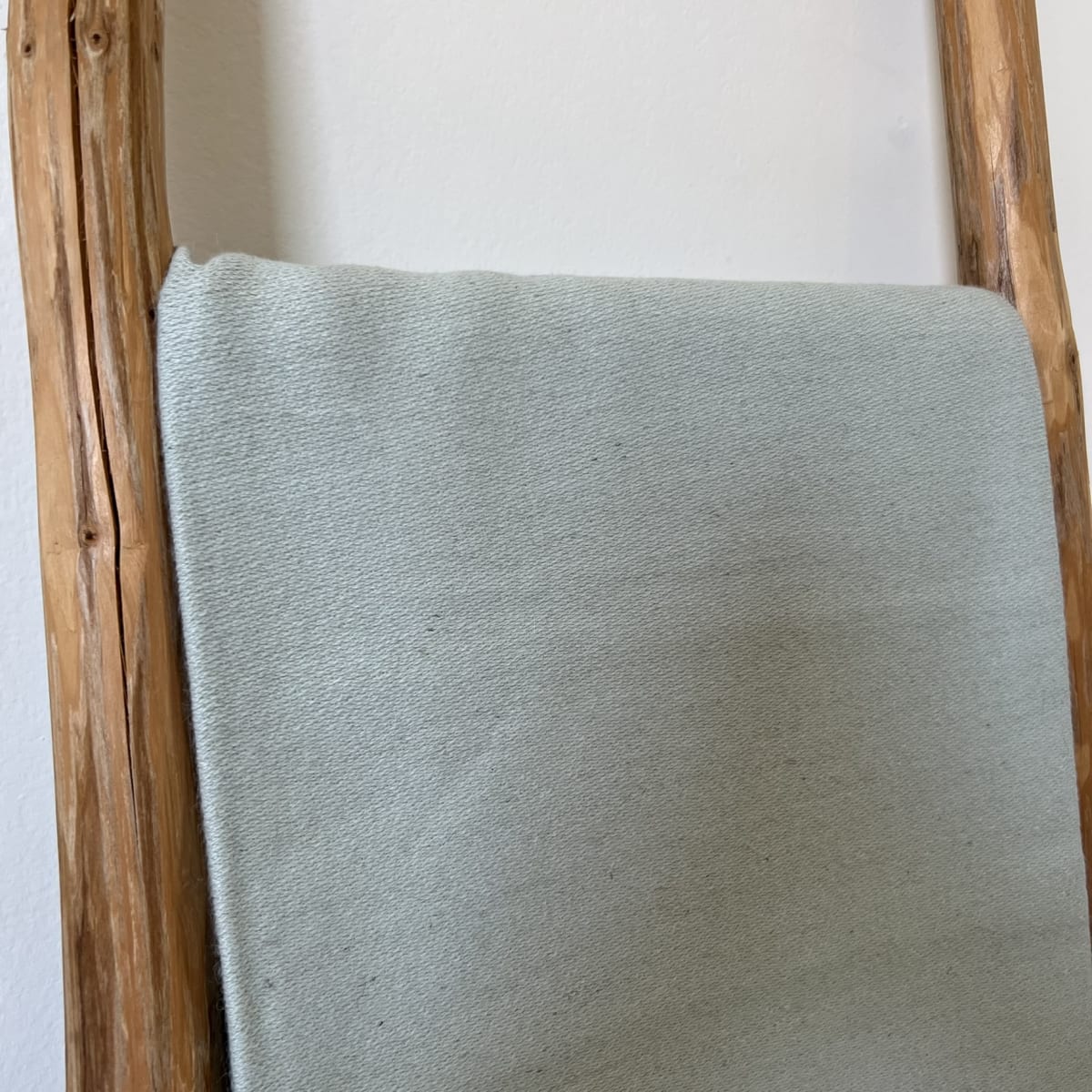 Manta Andy Celeste11