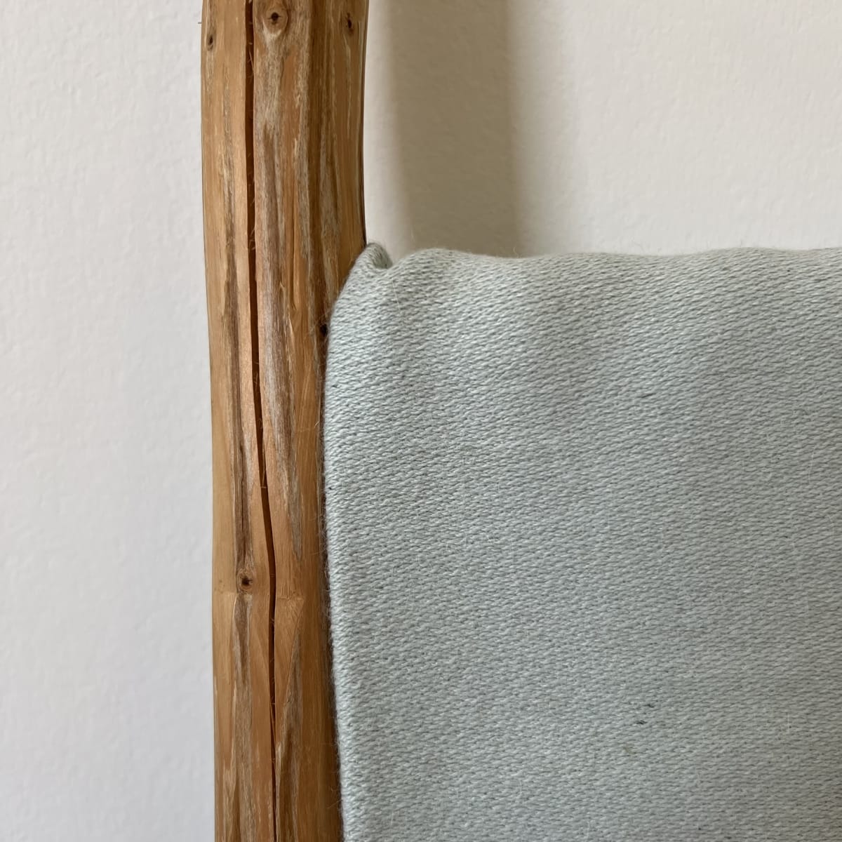 Manta Andy Celeste12