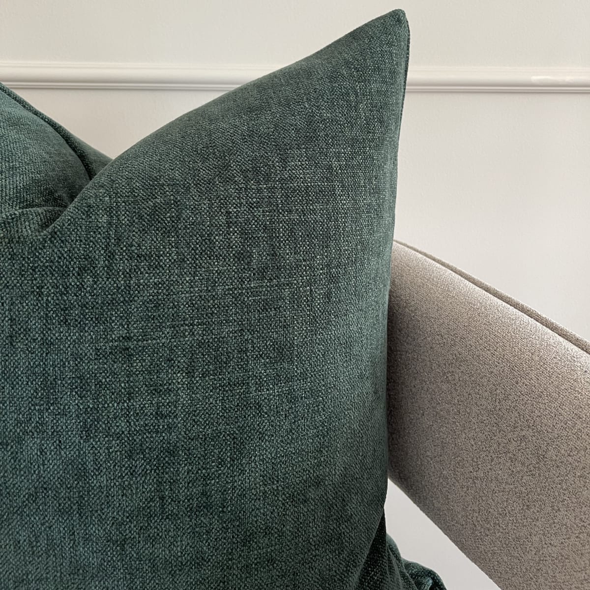 Funda de Cojín Parrot3