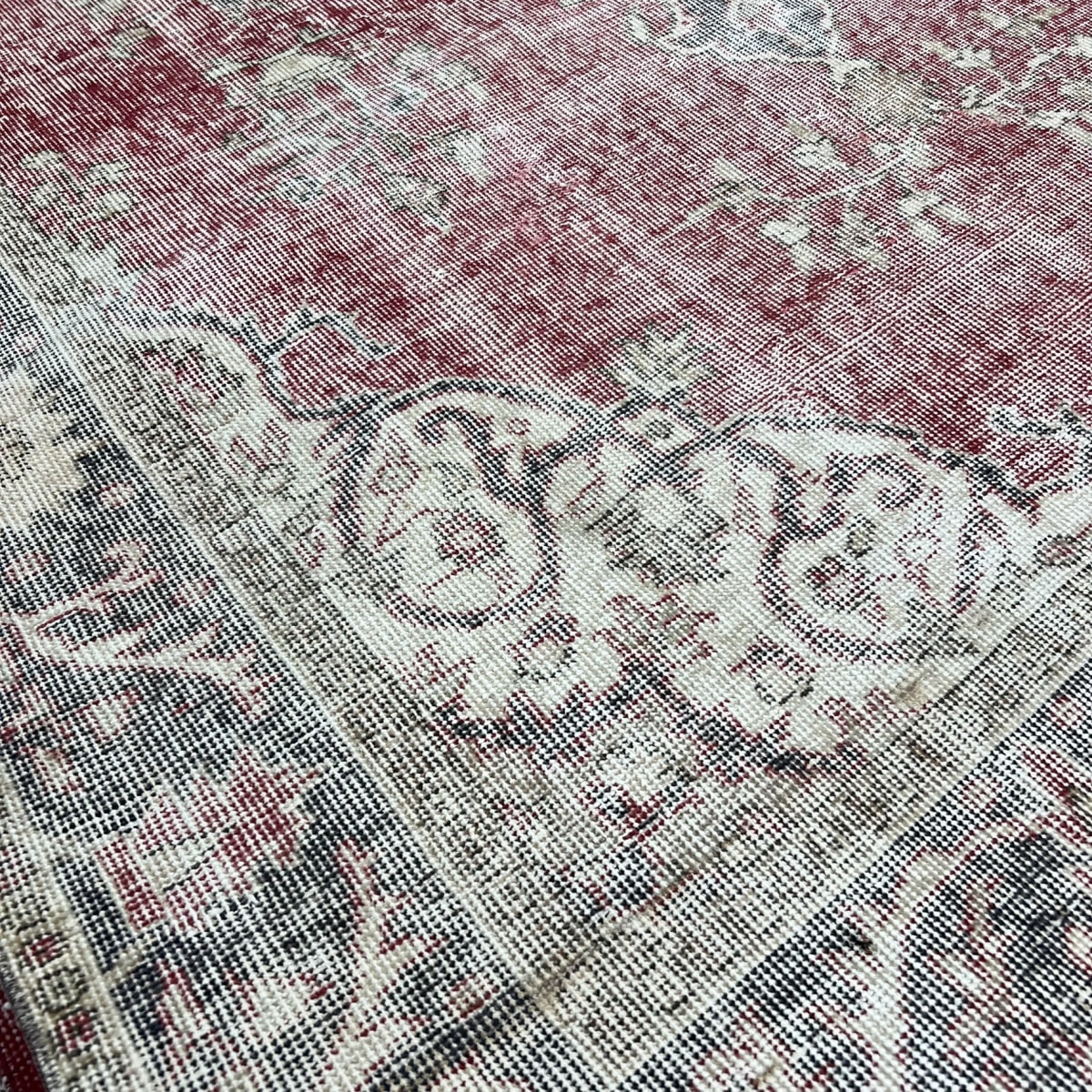 Alfombra Turca Ibrahim 253x1644