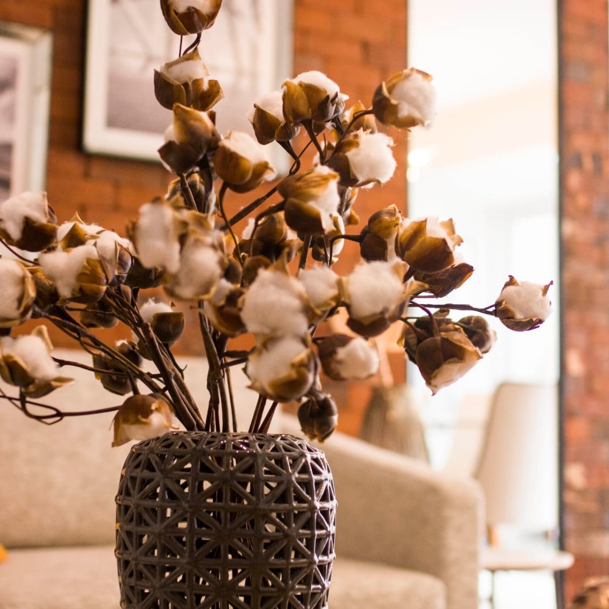 Pack Algodon 12 copos1