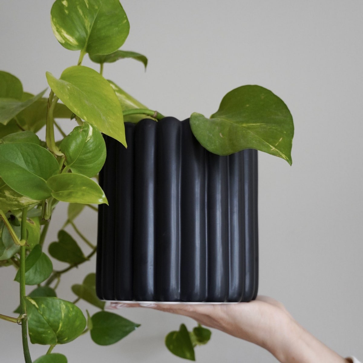 Maceta Sevilla Negra Large4