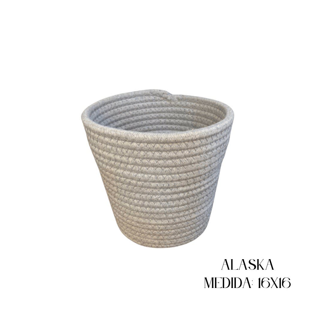 Canasta Alaska2