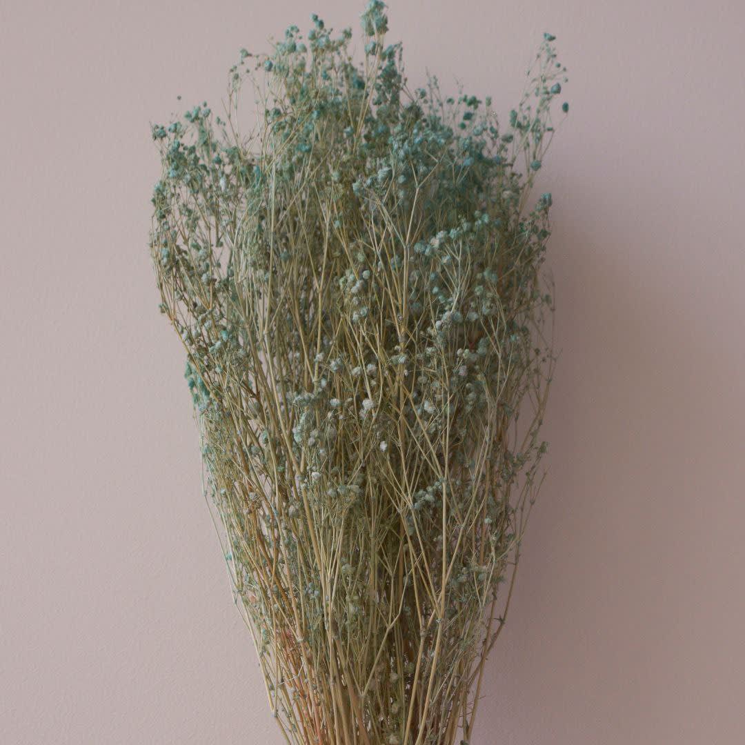 Gipso2
