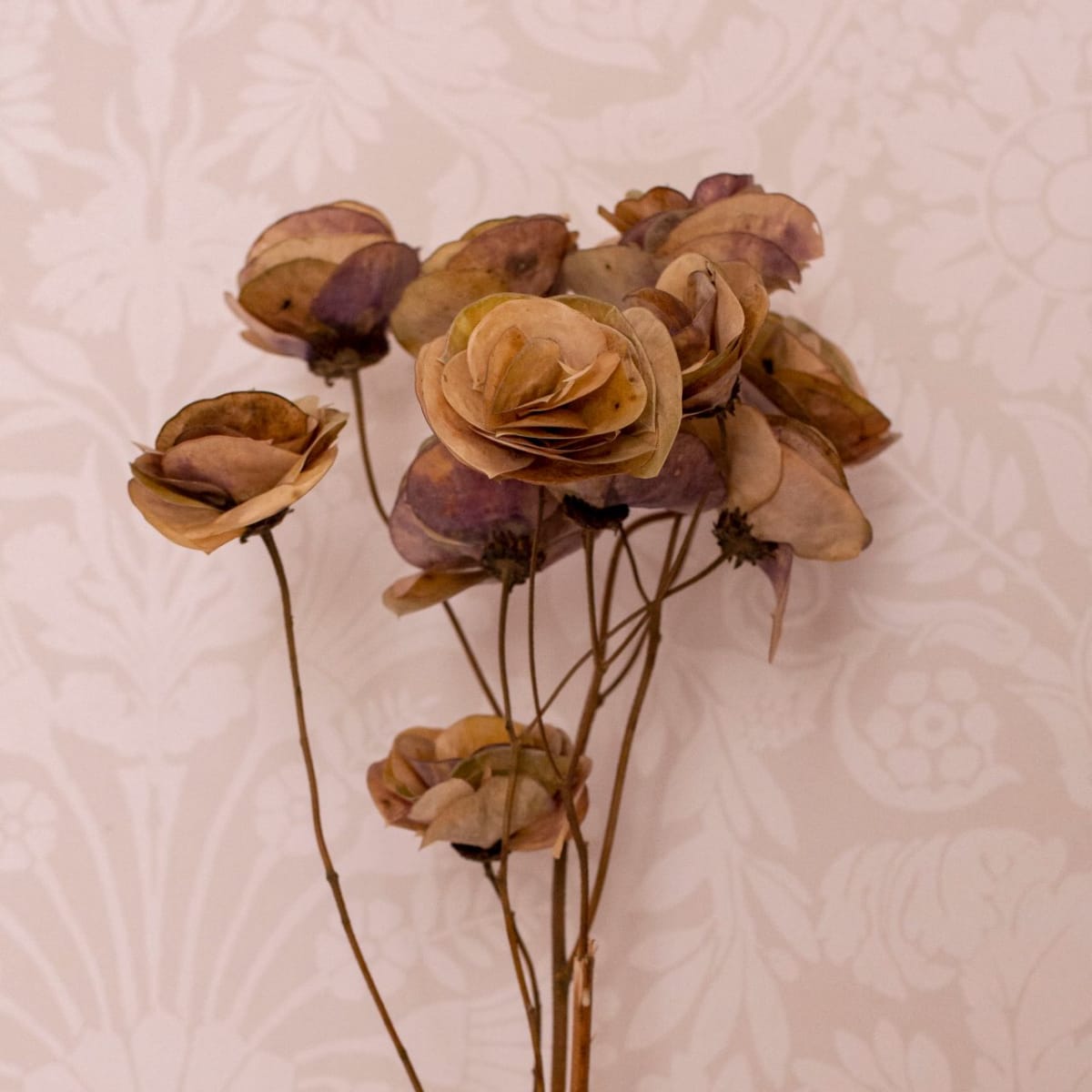 Rosas Naturales1