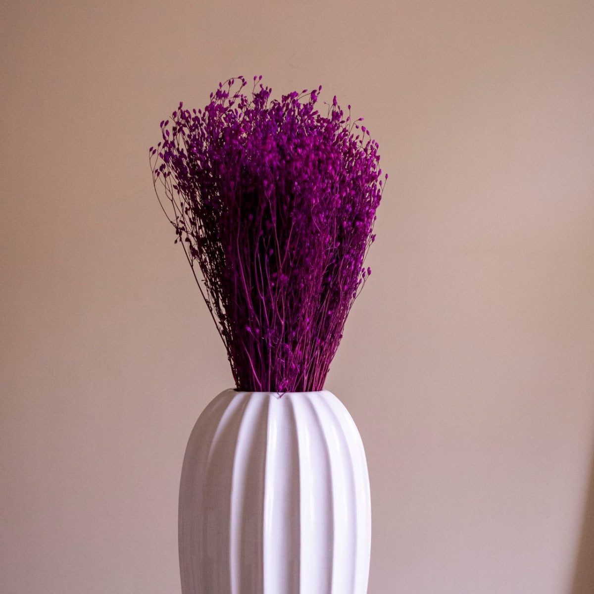 Arrocillo Magenta2