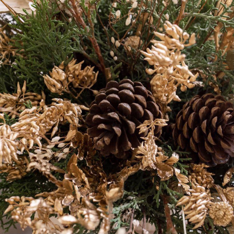 Piñas Naturales Medianas1