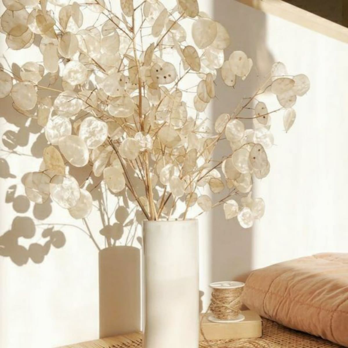 Lunaria Natural3