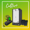 cultivo
