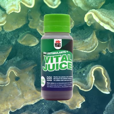 VITAL JUICE BIO ESTIMULANTE 60ML