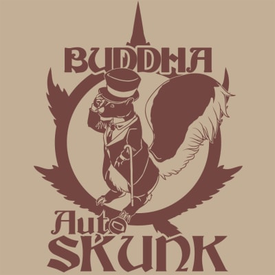 SKUNK CLASSIC 3 SEMILLAS