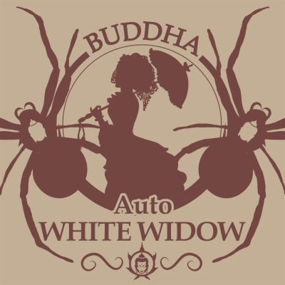 WHITE WIDOW CLASSIC 3 SEMILLAS